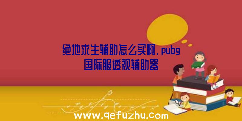 绝地求生辅助怎么买啊、pubg国际服透视辅助器