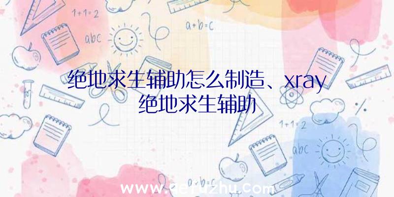 绝地求生辅助怎么制造、xray绝地求生辅助