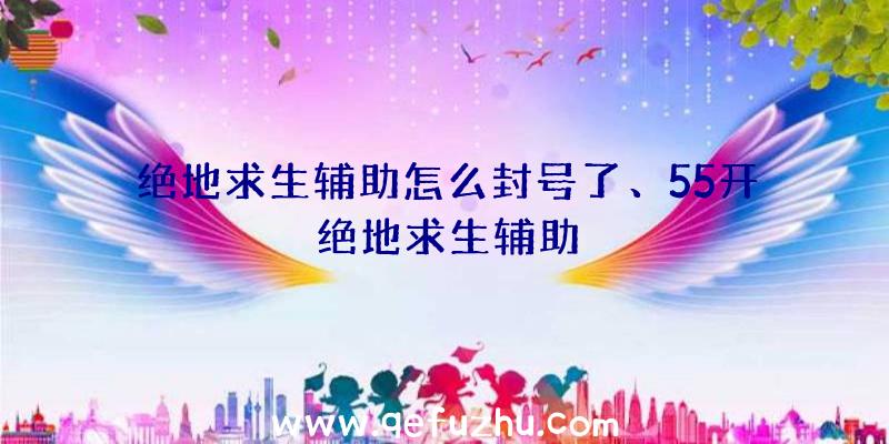 绝地求生辅助怎么封号了、55开绝地求生辅助