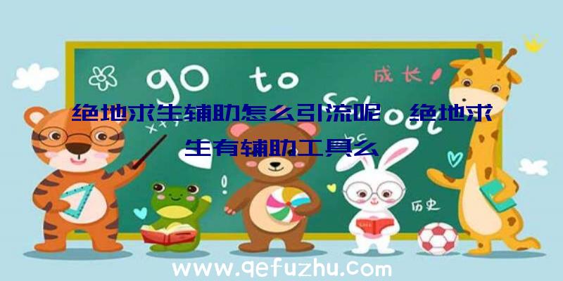 绝地求生辅助怎么引流呢、绝地求生有辅助工具么