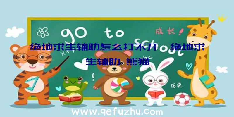 绝地求生辅助怎么打不开、绝地求生辅助