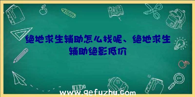 绝地求生辅助怎么找呢、绝地求生辅助绝影低价