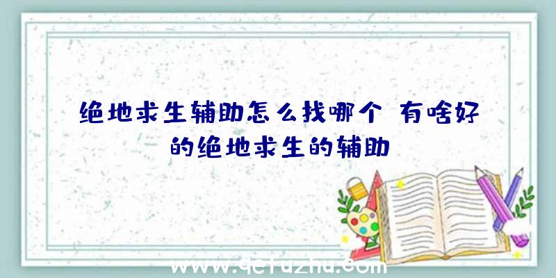 绝地求生辅助怎么找哪个、有啥好的绝地求生的辅助