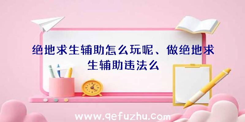 绝地求生辅助怎么玩呢、做绝地求生辅助违法么