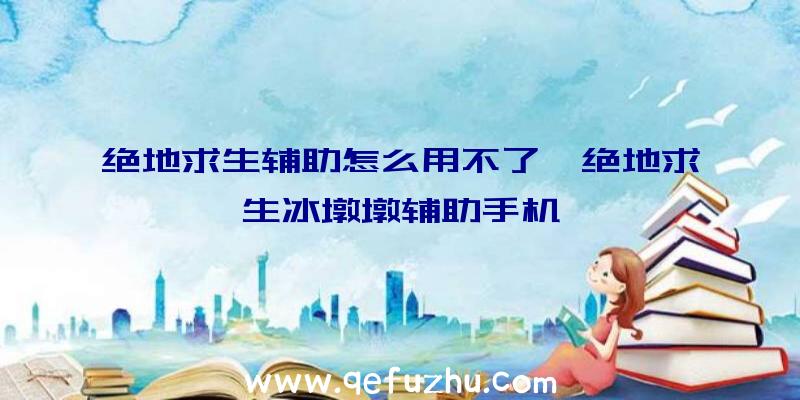 绝地求生辅助怎么用不了、绝地求生冰墩墩辅助手机