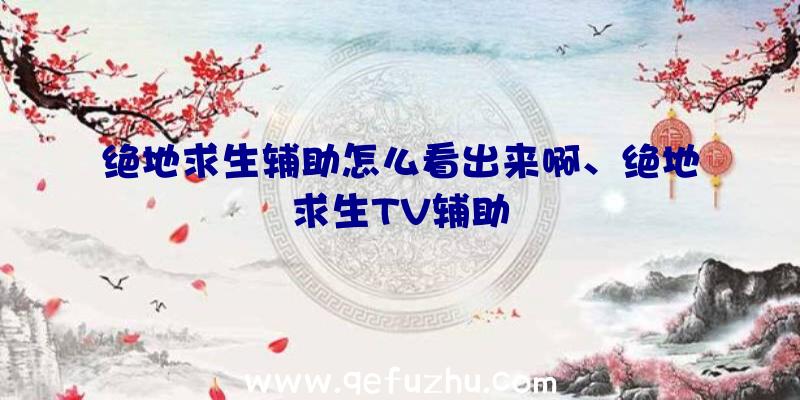 绝地求生辅助怎么看出来啊、绝地求生TV辅助