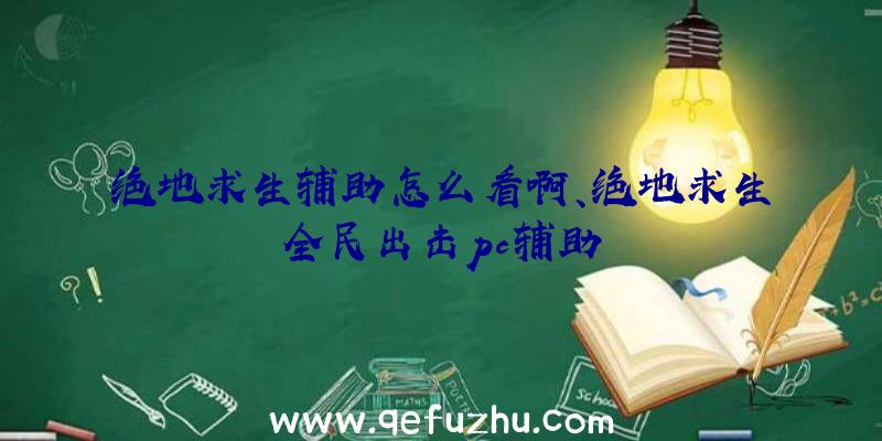 绝地求生辅助怎么看啊、绝地求生全民出击pc辅助