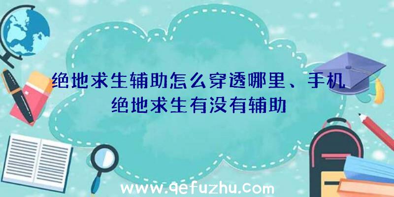 绝地求生辅助怎么穿透哪里、手机绝地求生有没有辅助