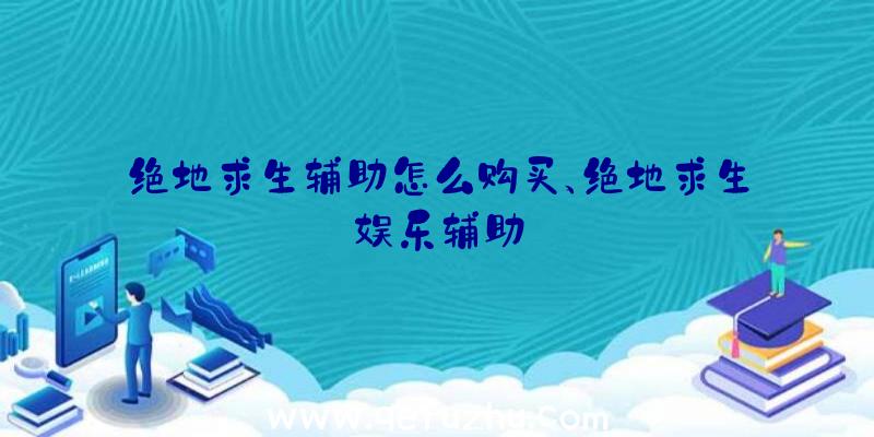 绝地求生辅助怎么购买、绝地求生娱乐辅助