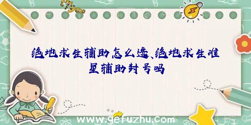 绝地求生辅助怎么选、绝地求生准星辅助封号吗