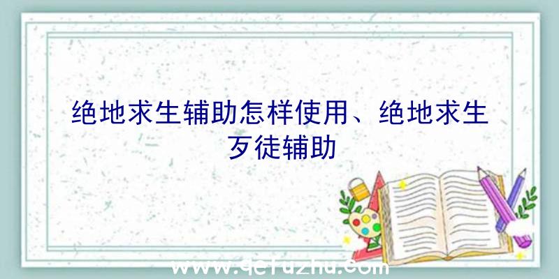 绝地求生辅助怎样使用、绝地求生歹徒辅助