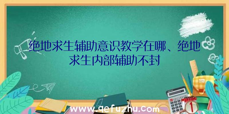 绝地求生辅助意识教学在哪、绝地求生内部辅助不封