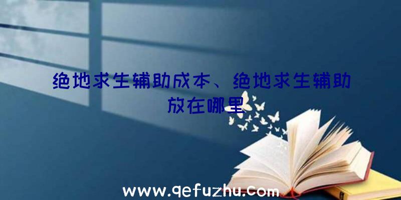 绝地求生辅助成本、绝地求生辅助