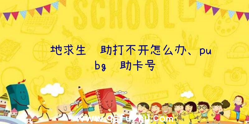 绝地求生辅助打不开怎么办、pubg辅助卡号