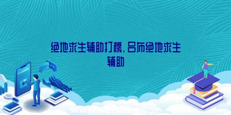 绝地求生辅助打榜、吕布绝地求生辅助