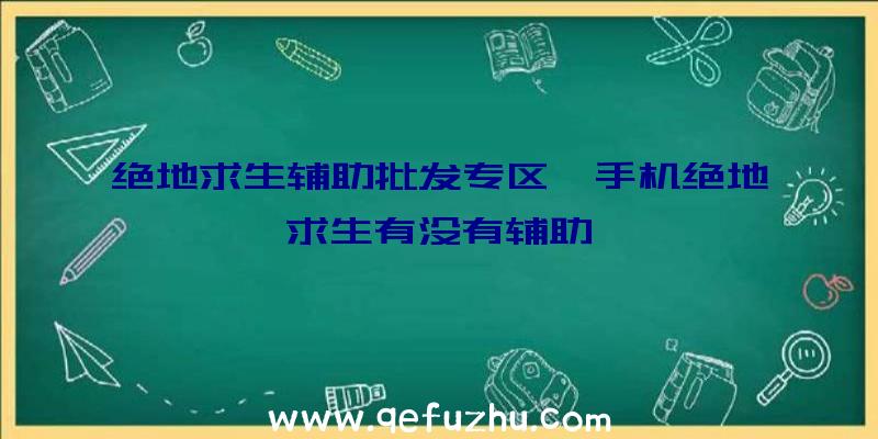 绝地求生辅助批发专区、手机绝地求生有没有辅助