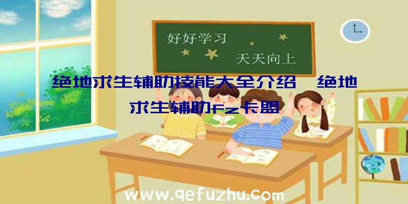 绝地求生辅助技能大全介绍、绝地求生辅助fz卡盟