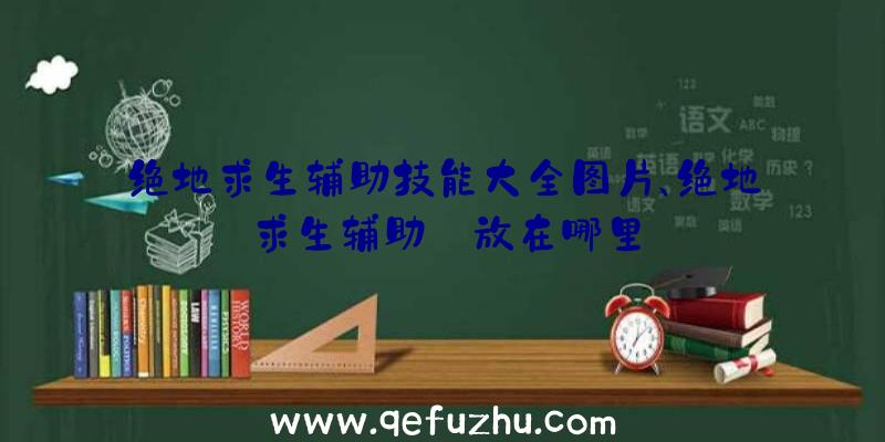 绝地求生辅助技能大全图片、绝地求生辅助