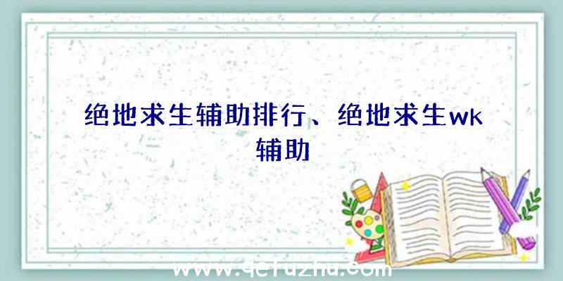 绝地求生辅助排行、绝地求生wk辅助