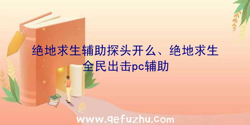 绝地求生辅助探头开么、绝地求生全民出击pc辅助