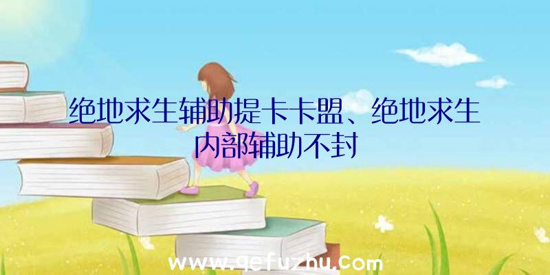 绝地求生辅助提卡卡盟、绝地求生内部辅助不封