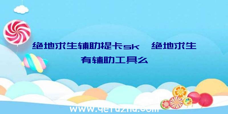 绝地求生辅助提卡sk、绝地求生有辅助工具么