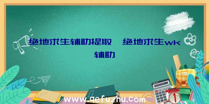 绝地求生辅助提取、绝地求生wk辅助