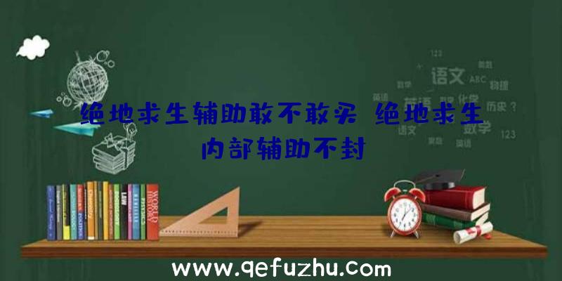 绝地求生辅助敢不敢买、绝地求生内部辅助不封