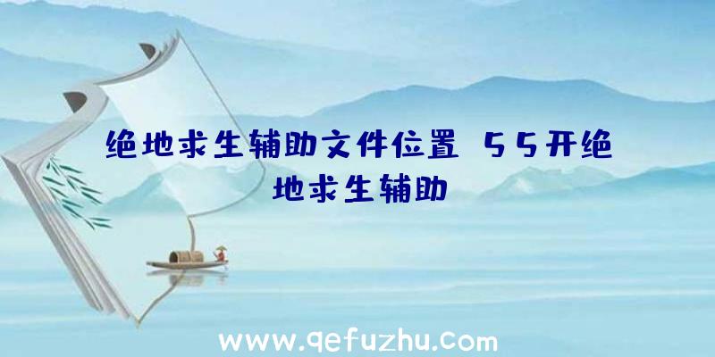 绝地求生辅助文件位置、55开绝地求生辅助