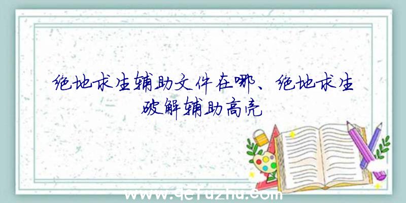 绝地求生辅助文件在哪、绝地求生破解辅助高亮