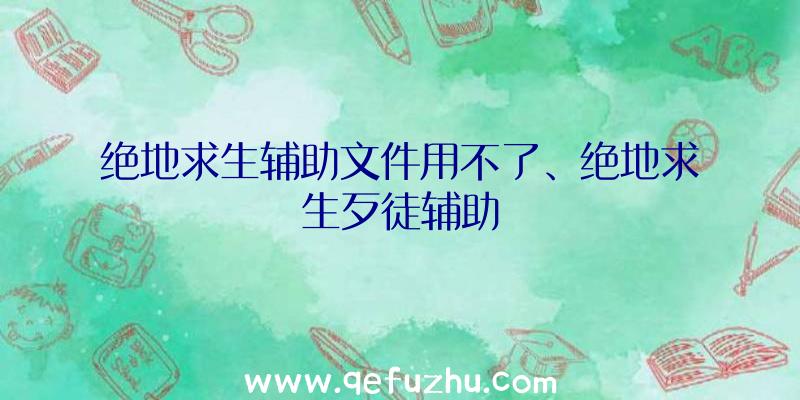 绝地求生辅助文件用不了、绝地求生歹徒辅助