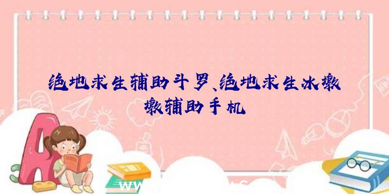 绝地求生辅助斗罗、绝地求生冰墩墩辅助手机