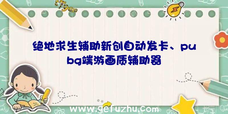 绝地求生辅助新创自动发卡、pubg端游画质辅助器