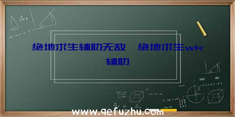 绝地求生辅助无敌、绝地求生wk辅助