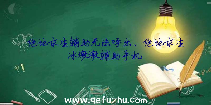 绝地求生辅助无法呼出、绝地求生冰墩墩辅助手机