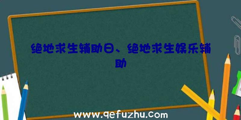 绝地求生辅助日、绝地求生娱乐辅助