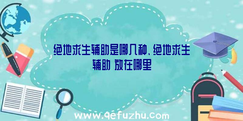 绝地求生辅助是哪几种、绝地求生辅助