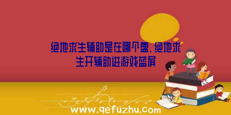 绝地求生辅助是在哪个盘、绝地求生开辅助进游戏蓝屏