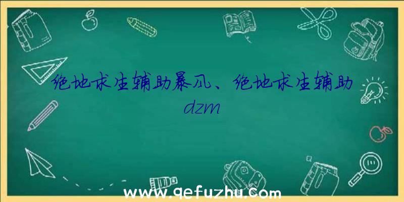 绝地求生辅助暴风、绝地求生辅助dzm