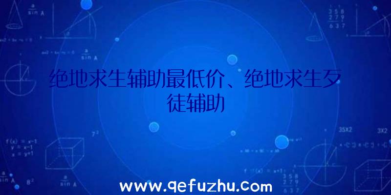 绝地求生辅助最低价、绝地求生歹徒辅助