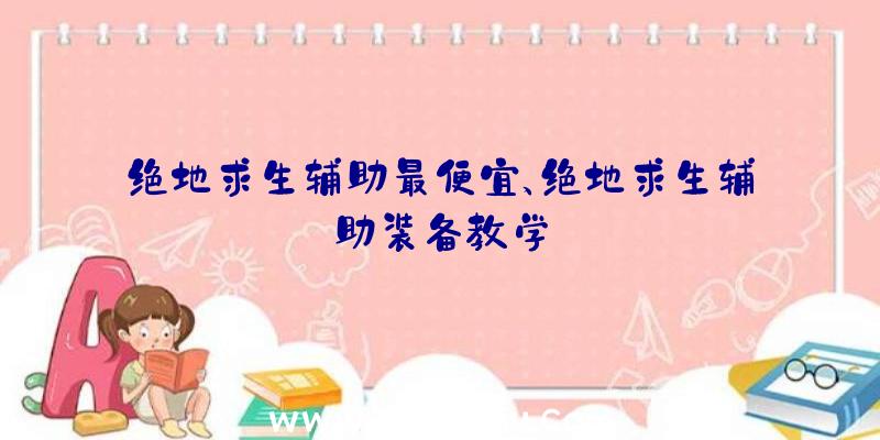 绝地求生辅助最便宜、绝地求生辅助装备教学