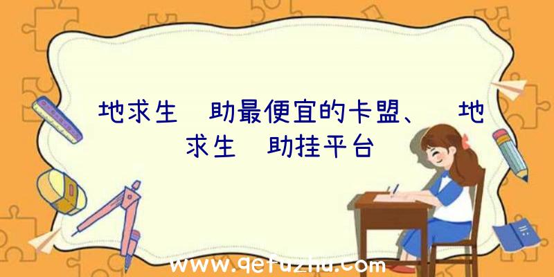 绝地求生辅助最便宜的卡盟、绝地求生辅助挂平台