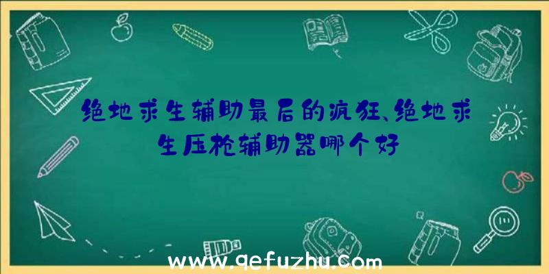 绝地求生辅助最后的疯狂、绝地求生压枪辅助器哪个好