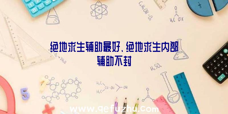 绝地求生辅助最好、绝地求生内部辅助不封