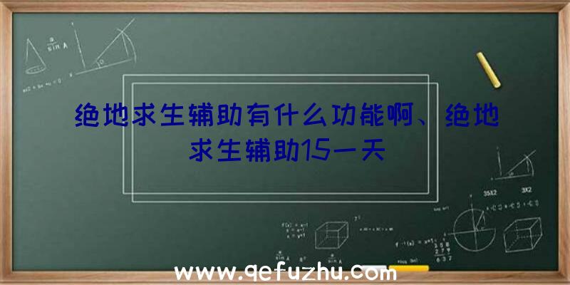 绝地求生辅助有什么功能啊、绝地求生辅助15一天