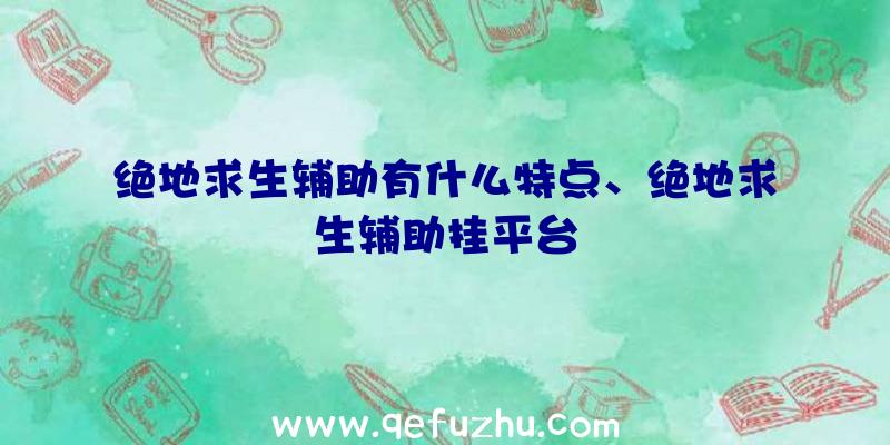 绝地求生辅助有什么特点、绝地求生辅助挂平台