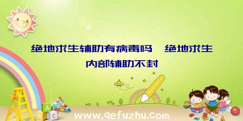 绝地求生辅助有病毒吗、绝地求生内部辅助不封