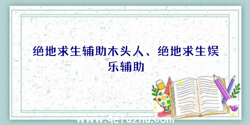 绝地求生辅助木头人、绝地求生娱乐辅助