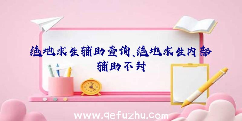 绝地求生辅助查询、绝地求生内部辅助不封