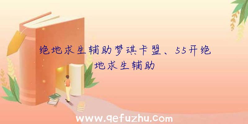 绝地求生辅助梦琪卡盟、55开绝地求生辅助